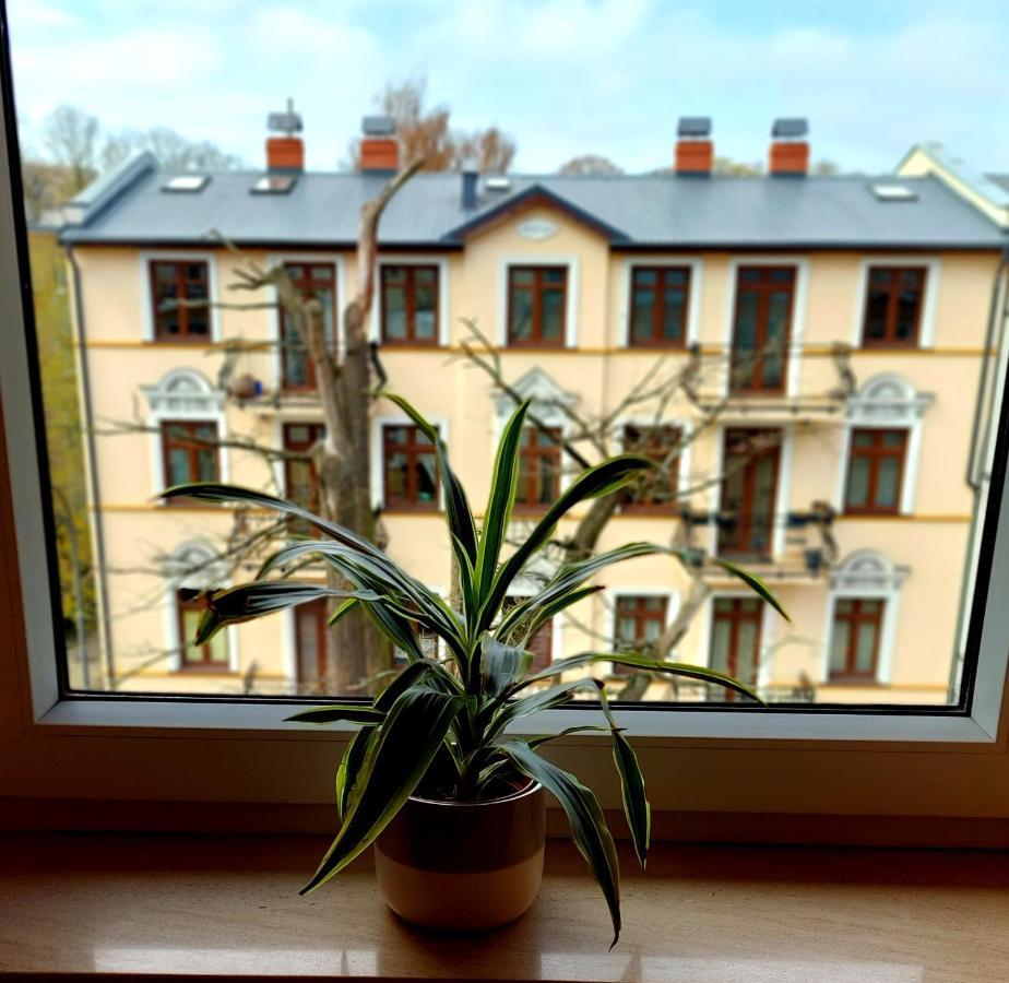 Apartament Pacific 2 Rooms / Pokoje Свіноуйсьце Екстер'єр фото